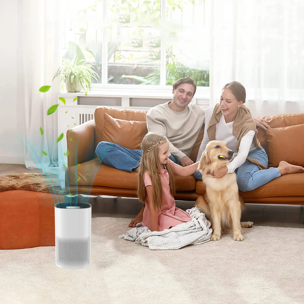 Breeze Buddy Air Purifier