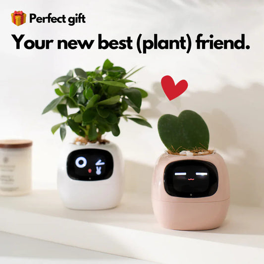 Smart Pet Companion Planter